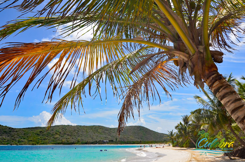 Flamenco Beach - Culebra - Best Beach in Puerto Rico